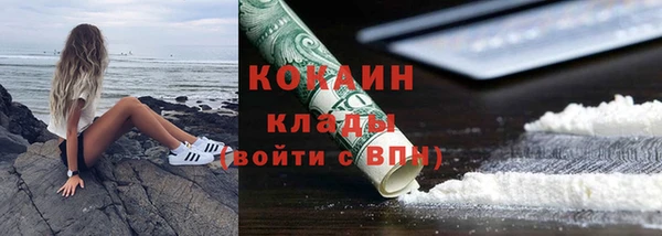 ПСИЛОЦИБИНОВЫЕ ГРИБЫ Михайлов