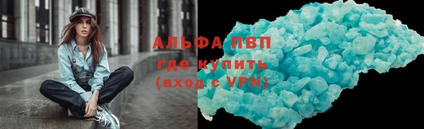 ПСИЛОЦИБИНОВЫЕ ГРИБЫ Михайлов