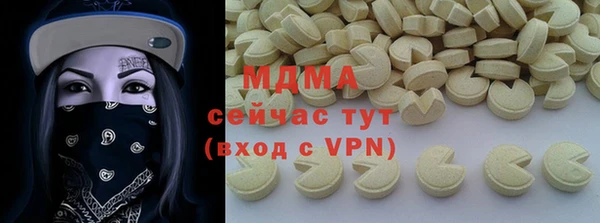 ПСИЛОЦИБИНОВЫЕ ГРИБЫ Михайлов