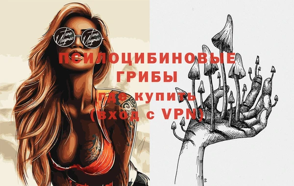 крисы Михайловск