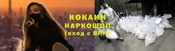 тгк Гвардейск