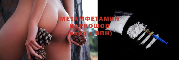 ПСИЛОЦИБИНОВЫЕ ГРИБЫ Михайлов