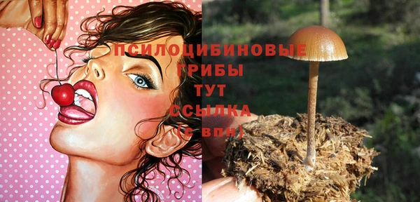 эйфоретик Видное