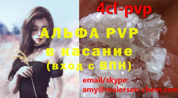 ПСИЛОЦИБИНОВЫЕ ГРИБЫ Михайлов