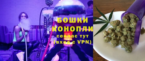 ПСИЛОЦИБИНОВЫЕ ГРИБЫ Михайлов
