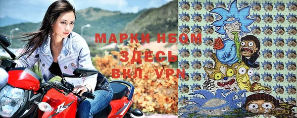 ПСИЛОЦИБИНОВЫЕ ГРИБЫ Михайлов